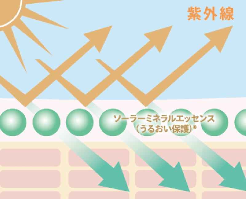 角層イメージ図