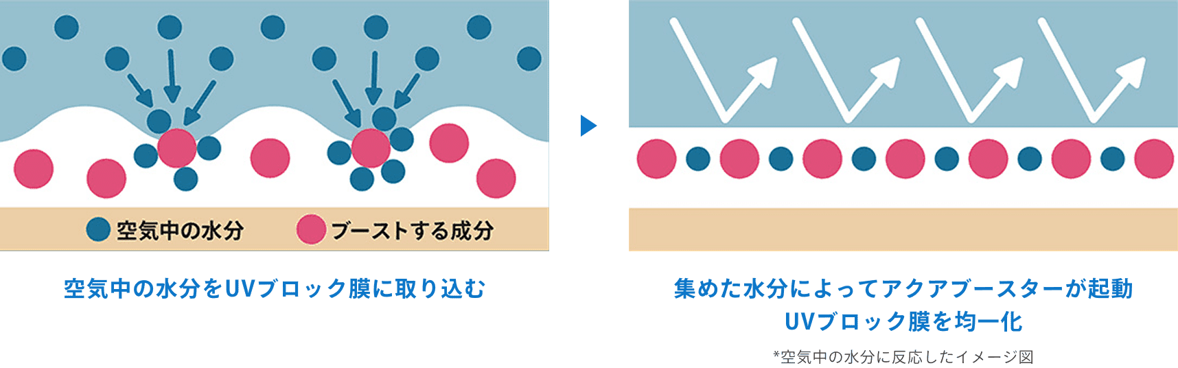 モデルのイメージ