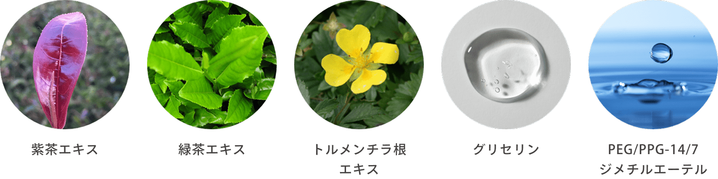 植物由来成分のイメージ