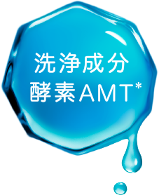 洗浄成分 酵素AMT＊