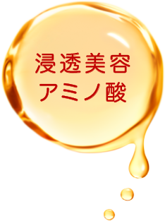 浸透美容アミノ酸