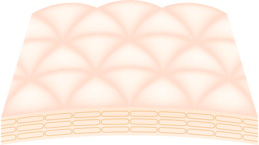 角層イメージ図