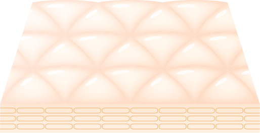 角層イメージ図