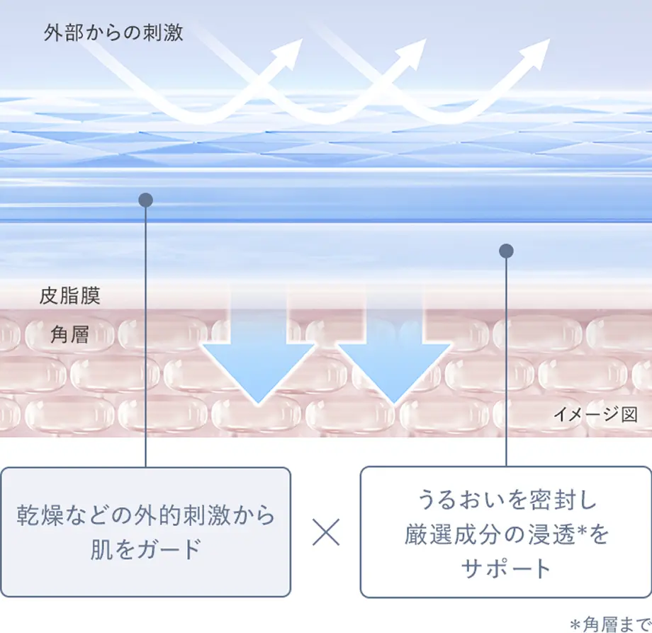 乾燥などの外的刺激から肌をガード。うるおいを密封し厳選成分の浸透を促進＊角層まで