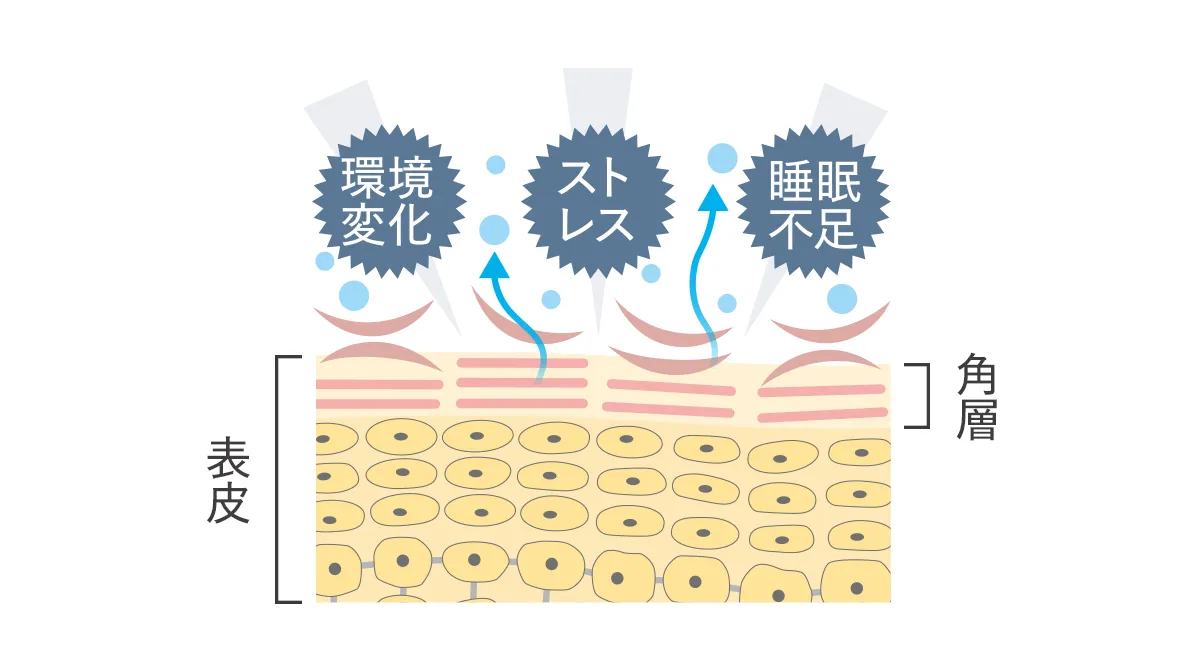 生活環境の変化やストレス、睡眠不足などにより、水分保持・皮脂分泌・バリア機能などに影響を与えている様子を示しています。