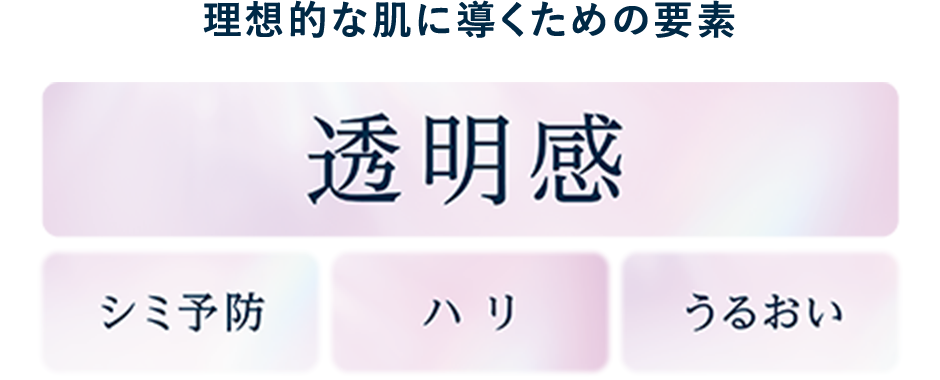 理想的な肌に導くための要素 透明感 シミ防止 ハリ うるおい