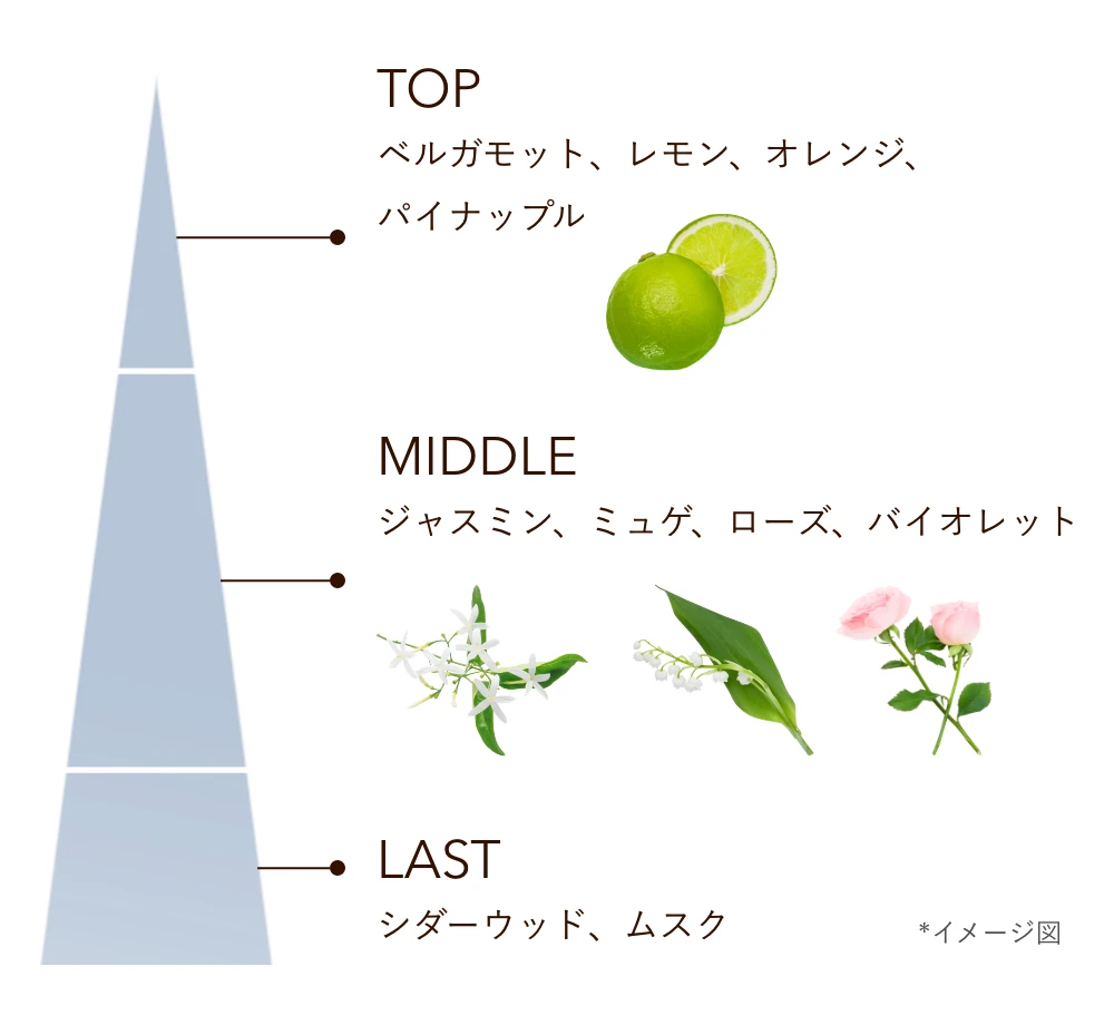 TOP:ベルガモット、レモン、オレンジ、パイナップル MIDDLE:ジャスミン、ミュゲ、ローズ、バイオレット LAST:シダーウッド、ムスク