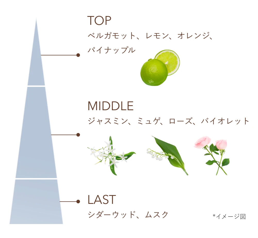 TOP:ベルガモット、レモン、オレンジ、パイナップル MIDDLE:ジャスミン、ミュゲ、ローズ、バイオレット LAST:シダーウッド、ムスク