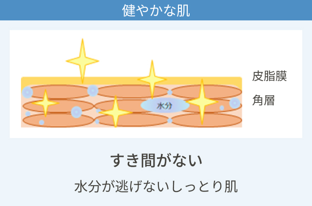イラスト：健やかな肌 すき間がなく水分が逃げないしっとり肌のイラスト