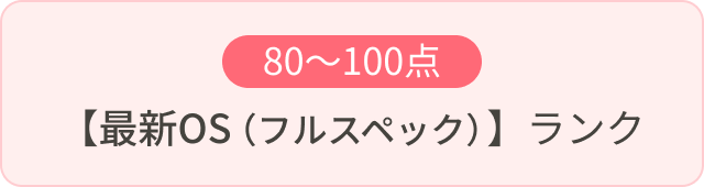 80〜100点 【最新OS（フルスペック）】ランク