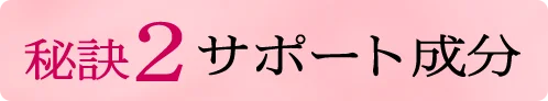 秘訣2 サポート成分
