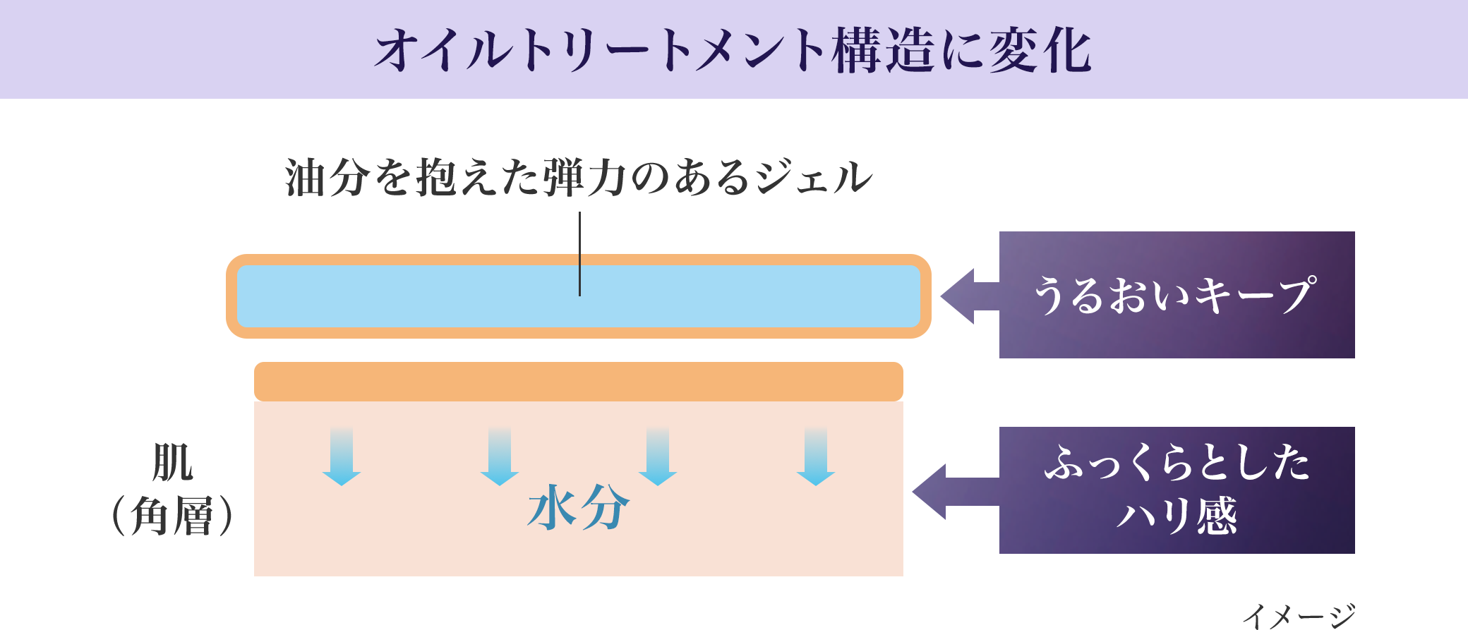 オイルトリートメント構造に変化油分を抱えた弾力のあるジェルうるおいキープ 肌（角層） 水分ふっくらとした ハリ感 X=u