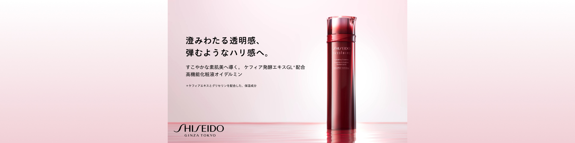 SHISEIDO オイデルミン夏肌スキンケアキット