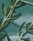 成分写真：ROSEMARY