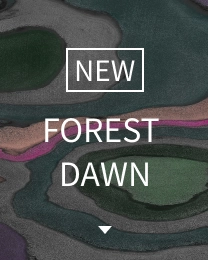NEW FOREST DAWN