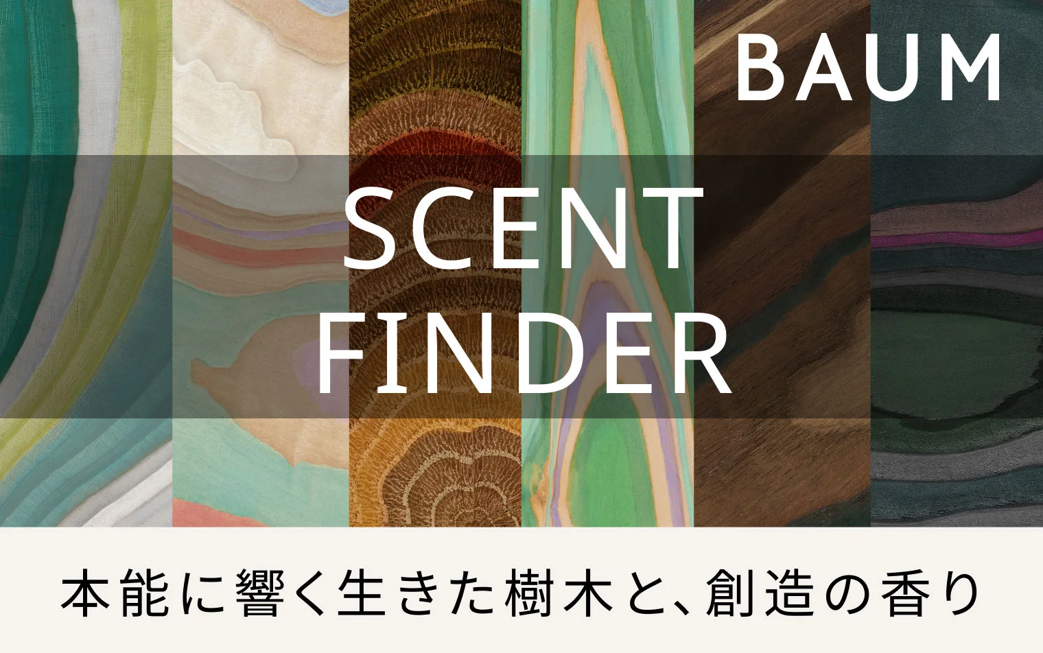 SCENT FINDER 本能に響く生きた樹木と、創造の香り