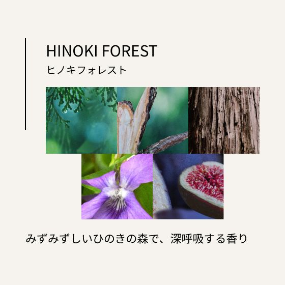 ヒノキ フォレスト　みずみずしいひのきの森で、深呼吸する香り