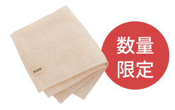 数量限定