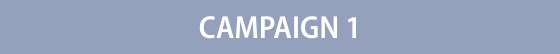 CAMPAIGN 1