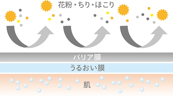 イメージ画像