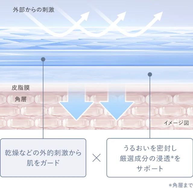 ダブルのうるおいバリア膜