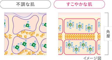 不調な肌とすこやかな肌のイメージ図