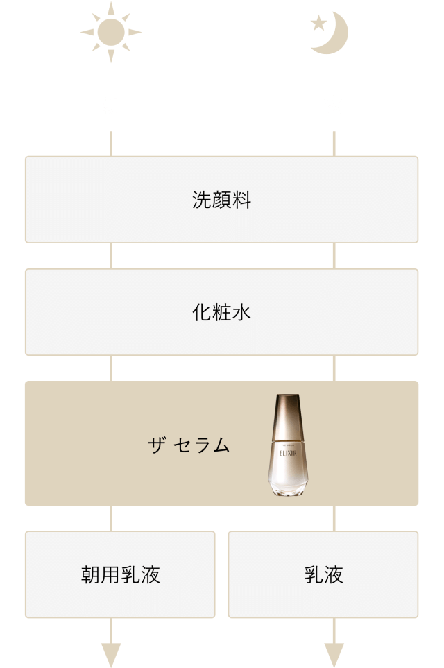 朝 夜 洗顔料 化粧水 ザセラム 朝用乳液 乳液