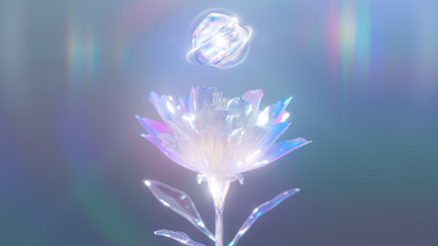 イメージ画像