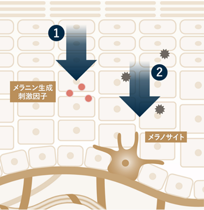 イメージ写真