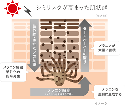 有効成分