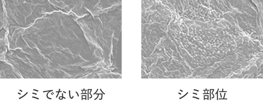 商品画像 シミでない部分 シミ部位
