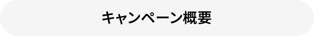 キャンペーン概要