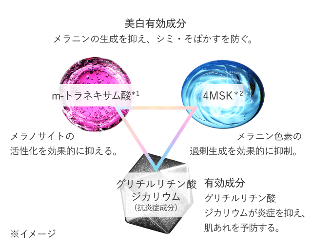 有効成分：グリチルリチン酸ジカリウムが炎症を抑え、肌あれを予防する。m- トラネキサム酸*2：メラノサイトの活性化を効果的に抑える。4MSK*1：メラニン色素の過剰生成を効果的に抑制。美白有効成分：メラニンの生成を抑え、シミ・そばかすを防ぐ。