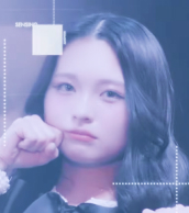 メンバー写真