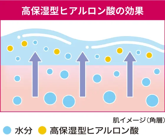 高保湿型ヒアルロン酸の効果