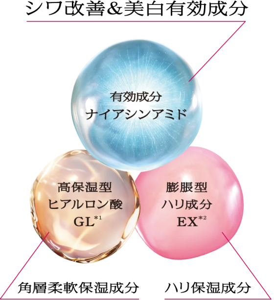 シワ改善&美白有効成分