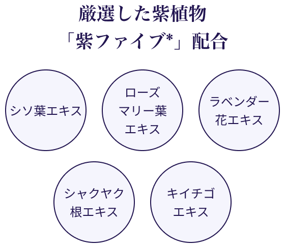 厳選した紫植物「紫ファイブ*」配合 シソ葉エキス ローズマリー葉エキス ラベンダー花エキス シャクヤク根エキス キイチゴエキス