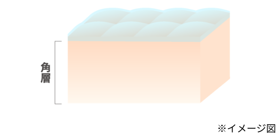 イメージ図