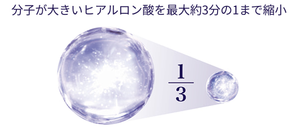 分子が大きいヒアルロン酸を最大約3分の1まで縮小