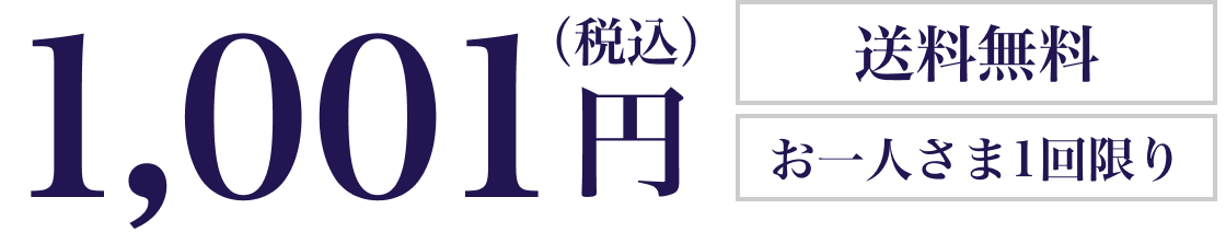 1001円（税込） 送料無料 お一人さま1回限り