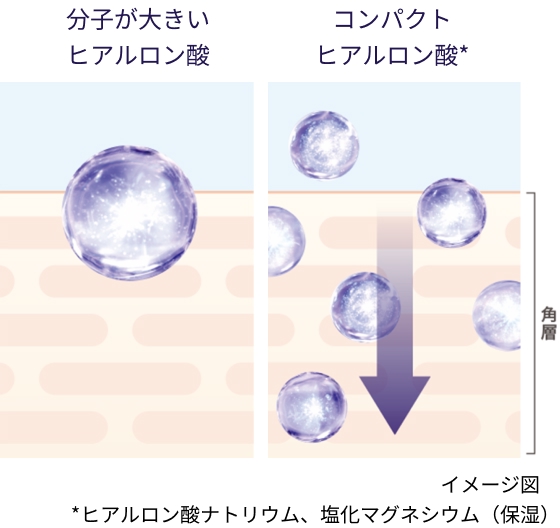 イメージ図