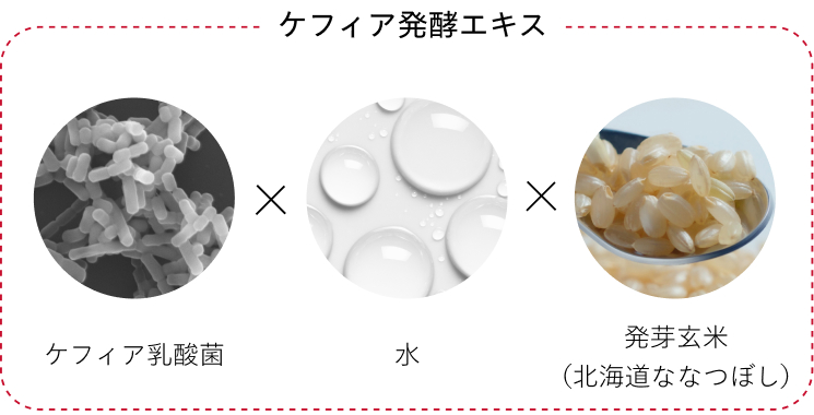 ケフィア発酵エキス