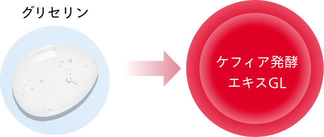 ケフィア発酵エキスGL