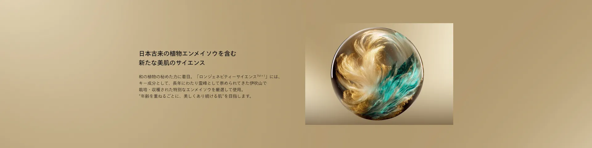 SHISEIDO フューチャーソリューションLX