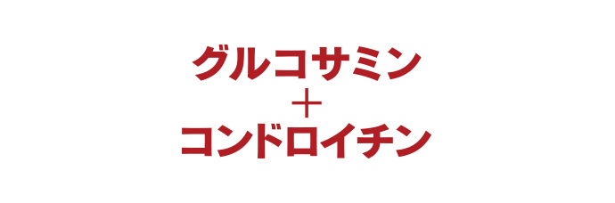 グルコサミン+コンドロイチン